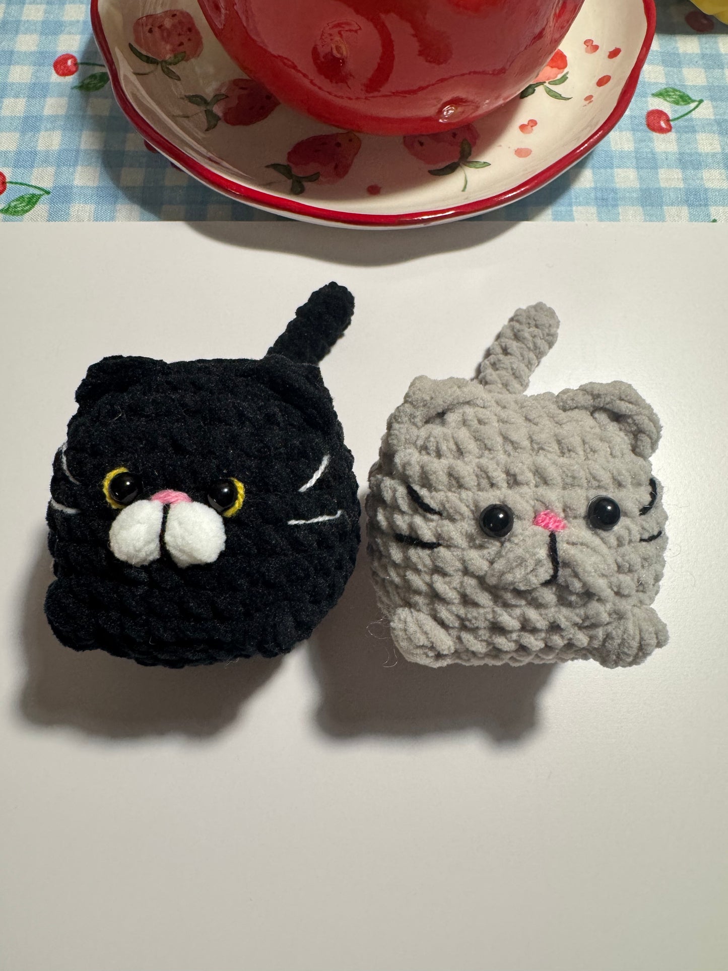 Chunky boys cat for Shayla