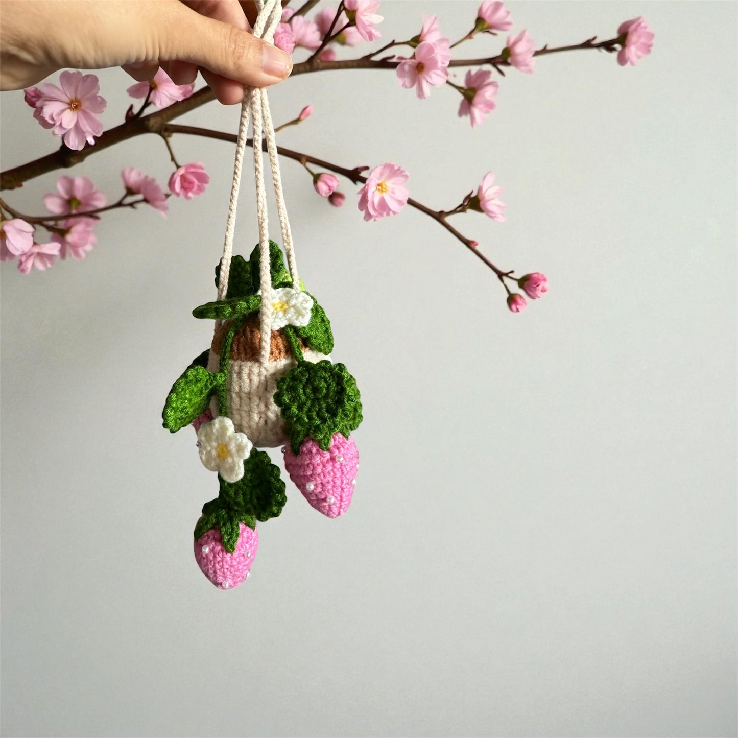Strawberry Hanging Pot Crochet