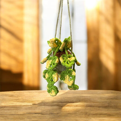 Monstera Pot Hanging Chochet