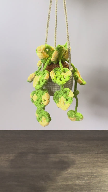 Monstera Pot Hanging Chochet